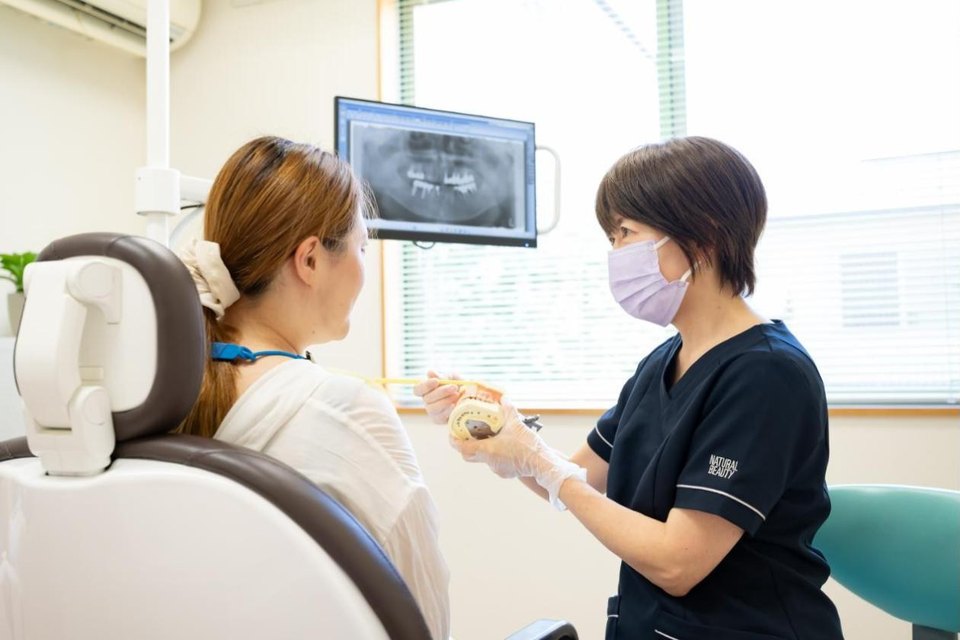 歯の模型を用いた説明の様子